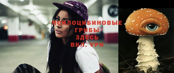 ALPHA PVP Володарск