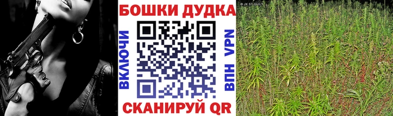 где купить наркоту  Дегтярск  Марихуана Amnesia 